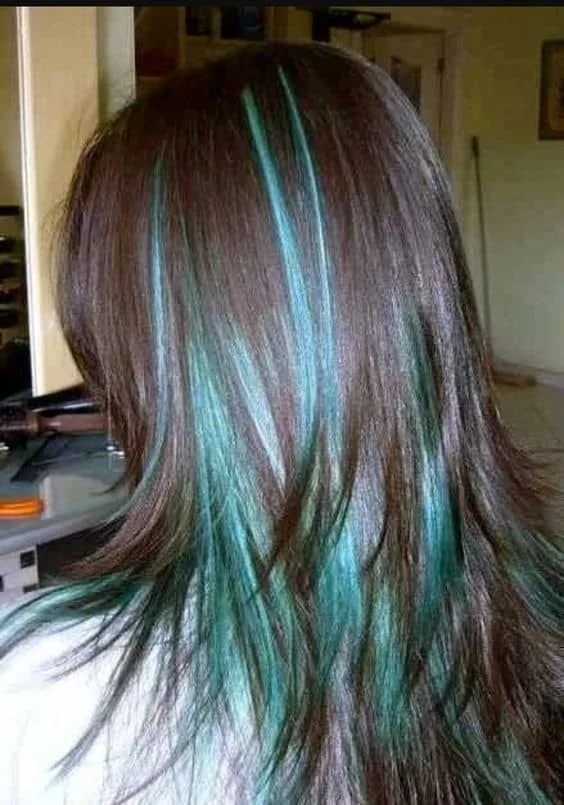 Creative hair color ideas for dark hair showcasing vibrant shades and styles