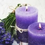 A collection of herbs for crafting homemade scented candles.