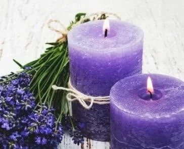 A collection of herbs for crafting homemade scented candles.