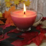 Cozy homemade apple spice candle glowing in a warm setting