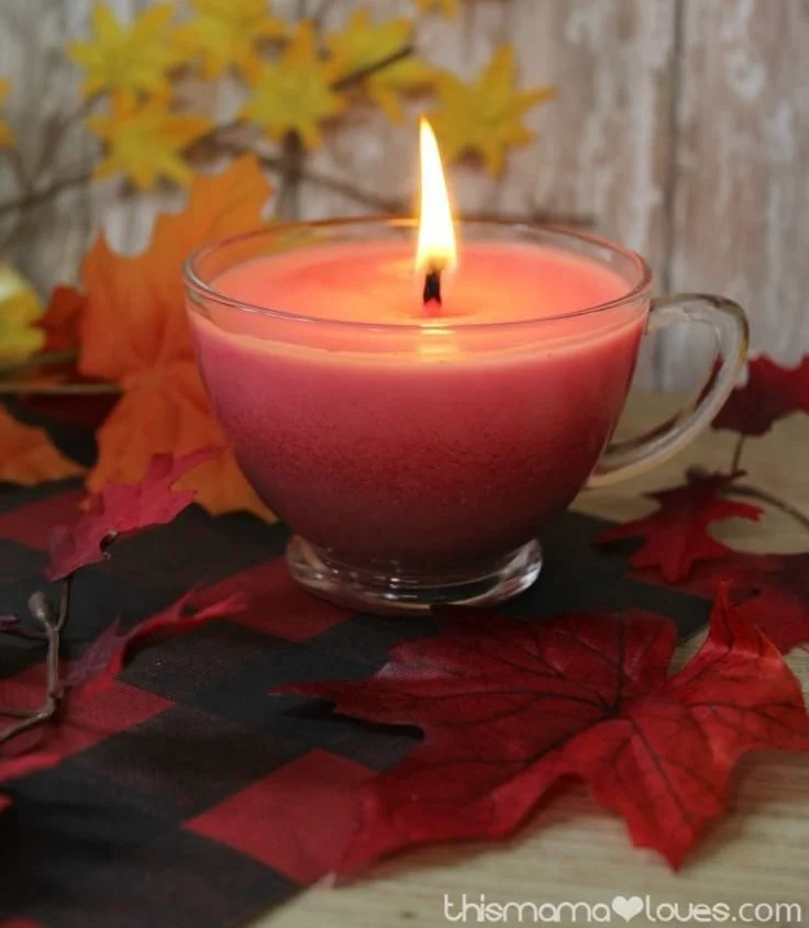 Cozy homemade apple spice candle glowing in a warm setting
