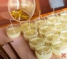 DIY Mason Jar Candles designed to repel mosquitoes for outdoor enjoyment.