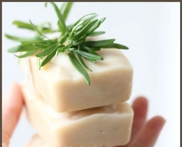 Homemade goat milk soap bars in a rustic setting