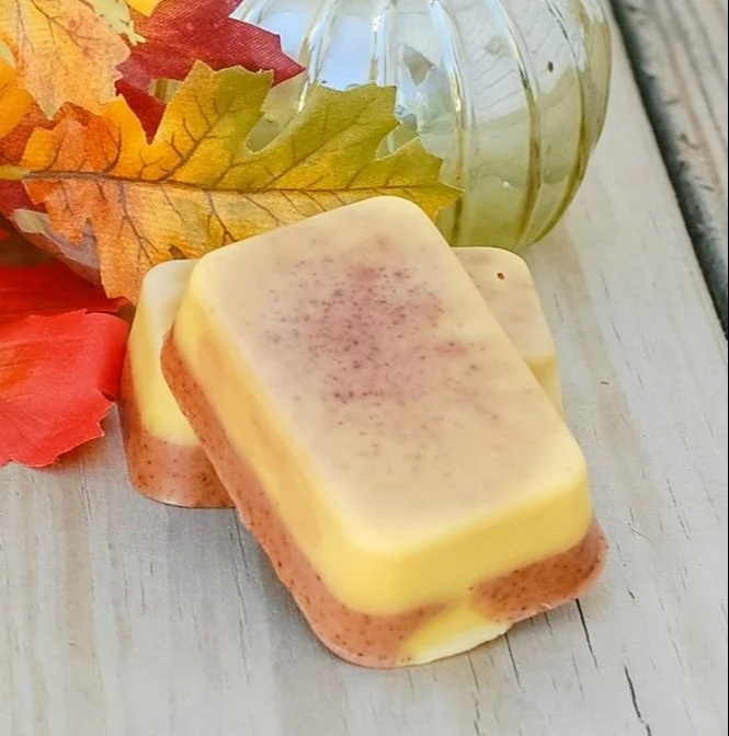 Homemade pumpkin spice goat milk soap with autumn spices