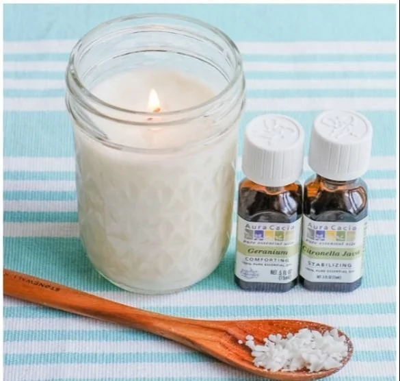 Homemade citronella candles for natural mosquito repellent