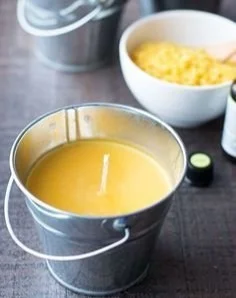 Homemade citronella candles tutorial for pest repellent