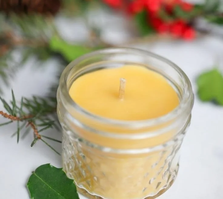 Fir and Pine beeswax candles in a cozy setting - eco-friendly home decor.