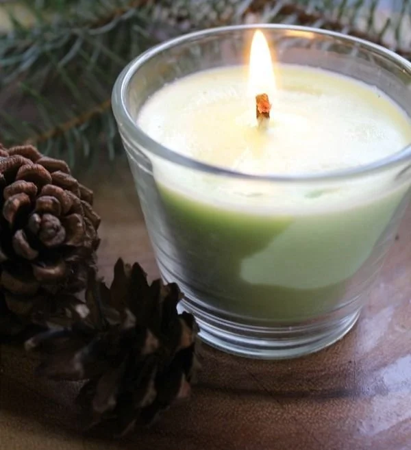 DIY pine needle candles for a fresh winter scent and cozy ambiance