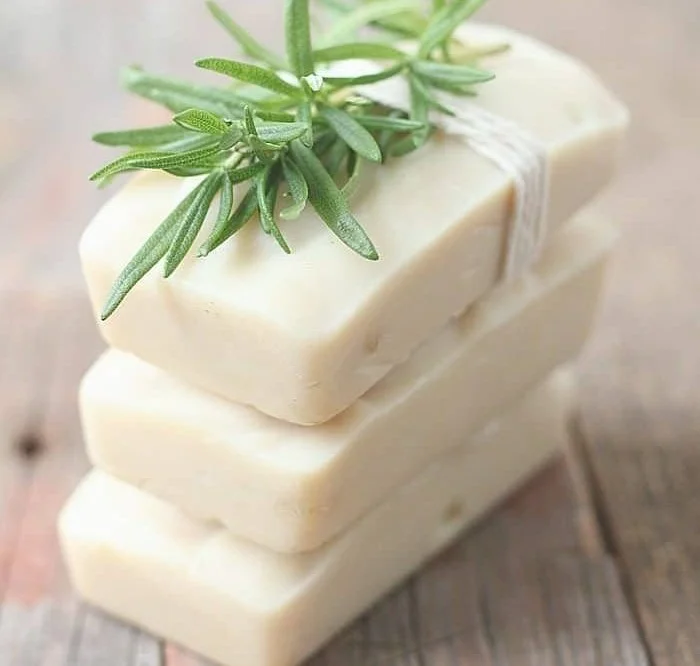 Homemade rosemary mint goat milk soap for beginners recipe