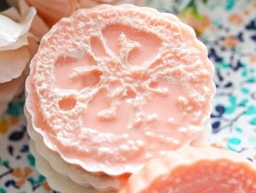 Blood orange and lime loofah soap bars with fresh citrus slices