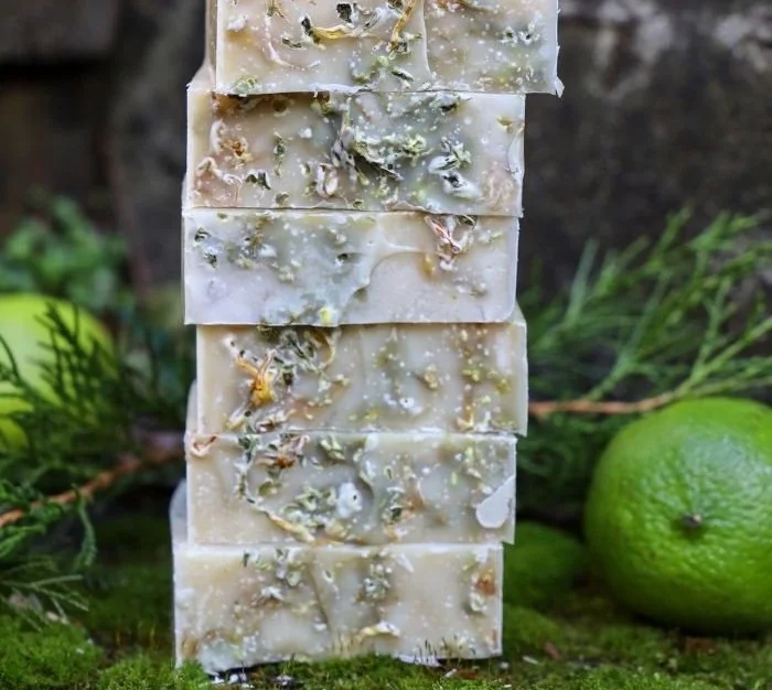 Homemade lime cedarwood soap bars in a rustic setting.